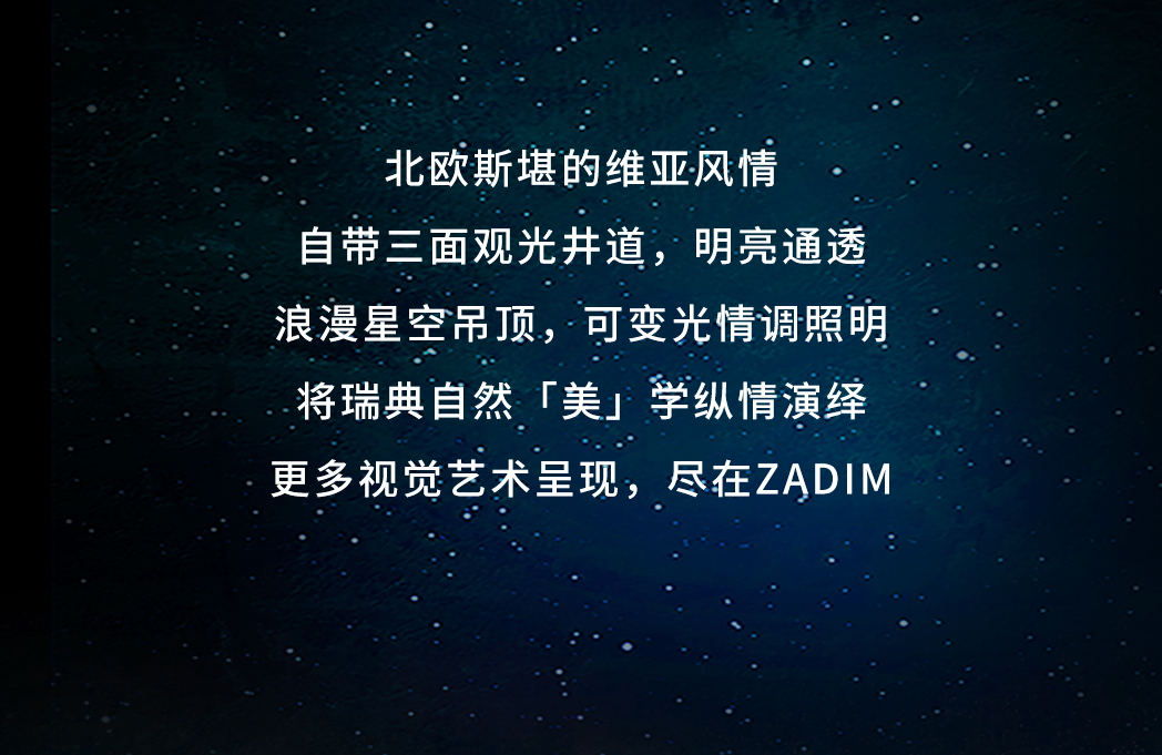 zadim希贝姆缔造不凡穿梭，革新永不止步_06.jpg